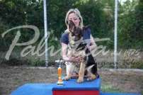 2 Esposizione canina 29.6.2014 Pico - IMG_4224